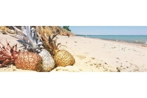 gold silver bronze pineapples on beach