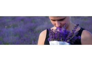 sensory garden - smell
