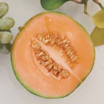 Rockmelon Hales Best - seed