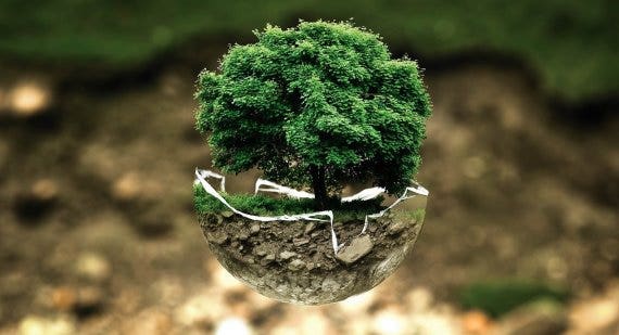 World Environment Day