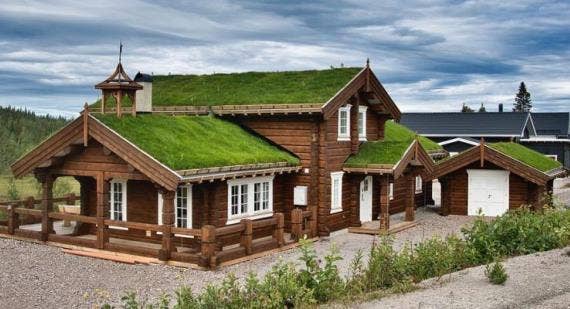 World Green Roof Day