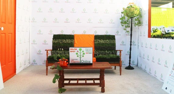 Plant The Look - Our 2022 QGE Show Stand