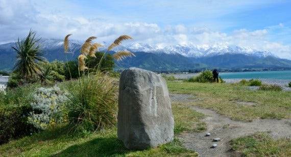 Plant the Look - New Zealand