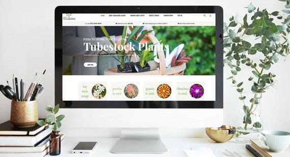 Checklist For Choosing Plants