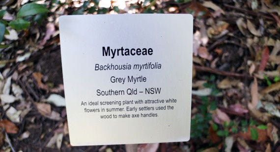 plant label at botanic gardens