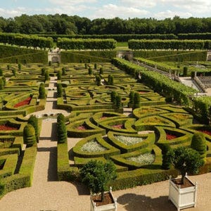 formal topiary knot garden