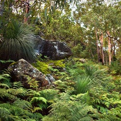 national park bushland national park bushland