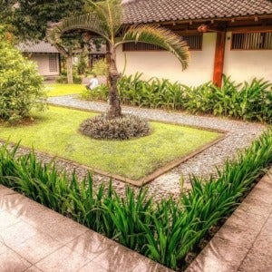 geometry in the Balinese garden