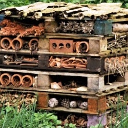 bee hotel from old pallets