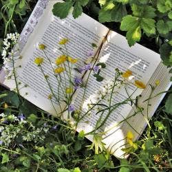 Book Flowers