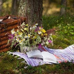 Book Picnic Book Picnic