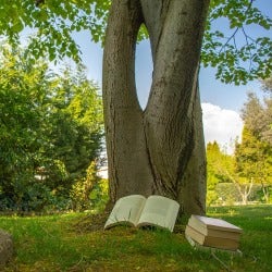 Book Tree