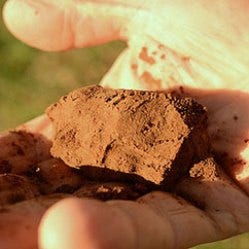 clay soil clay soil