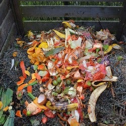 compost heap