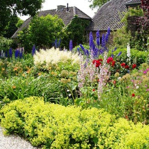 English herbaceous border English herbaceous border