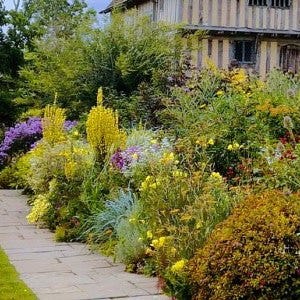 English herbaceous border at Great Dixter herbaceous border at Great Dixter