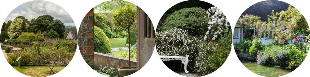 plants for the English look plants for the English look