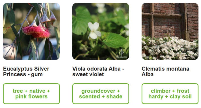 Australian Plants