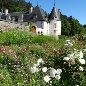 Loire garden Loire garden