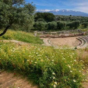 Greek meadow with olive