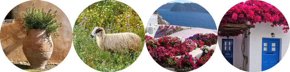 plants for the Greek look plants for the Greek look