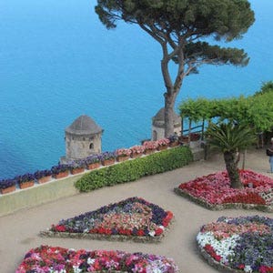 Italian carpet bedding