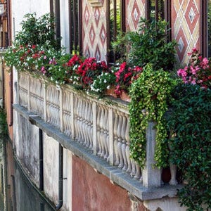 Venetian balconies