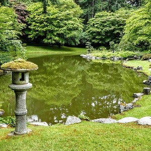 moss and water