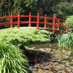 water, grass, red bridge