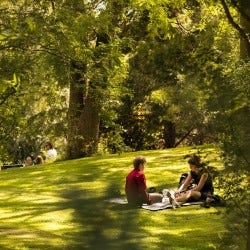 urban parkland urban parkland