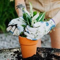 Potting Potting