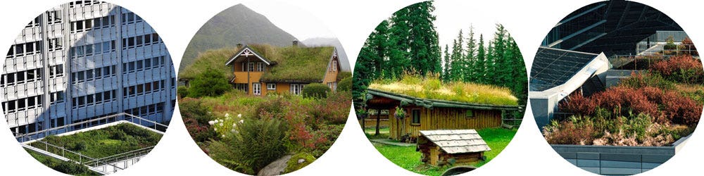 green roof