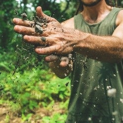 test the soil test the soil