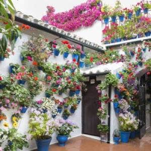 Spanish wall of pots in Cordoba