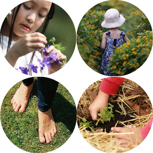 feel your garden feel your garden