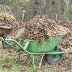 Wheelbarrow full of compost Wheelbarrow