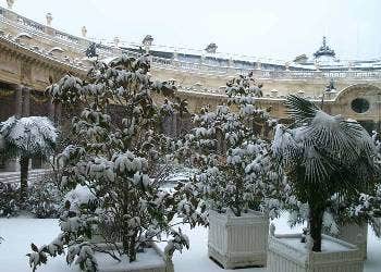 Paris garden in snow